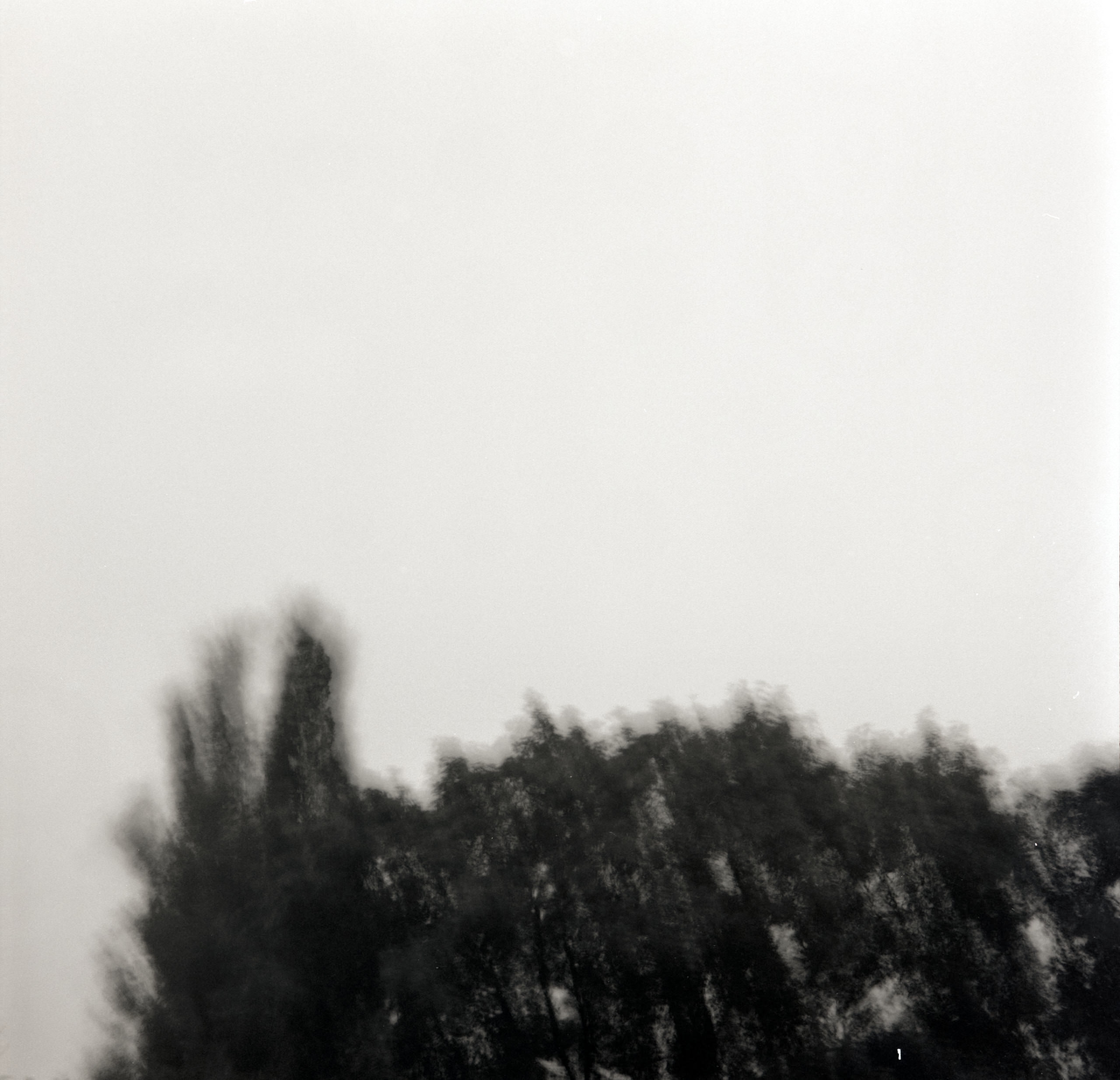 AHP FilmScan 240808 0979